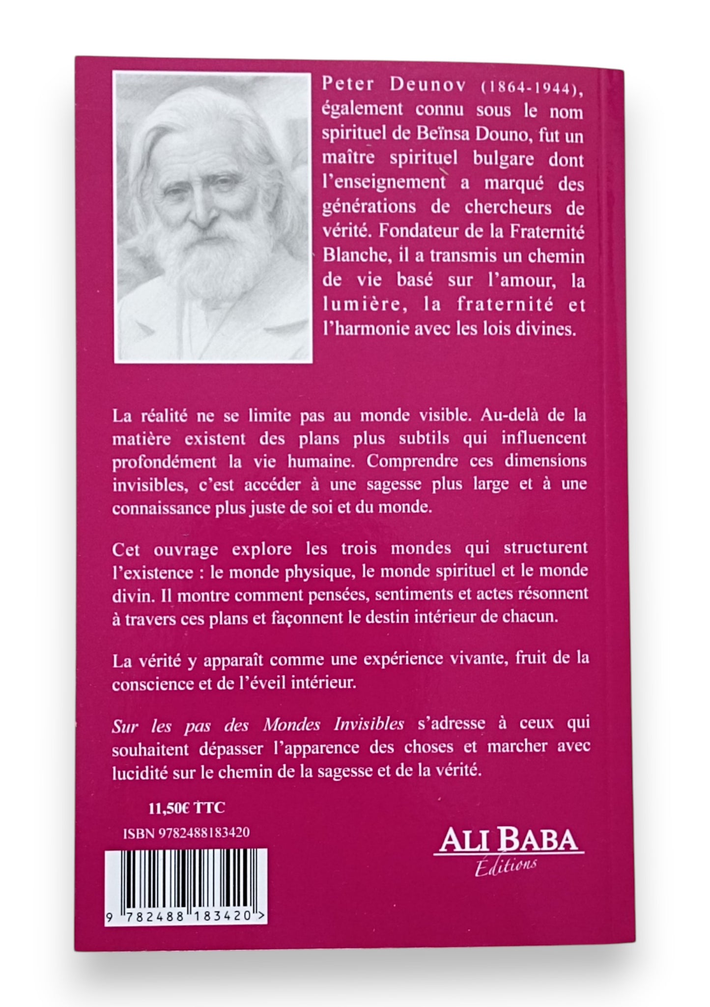 Sur les Pas des Mondes Invisibles