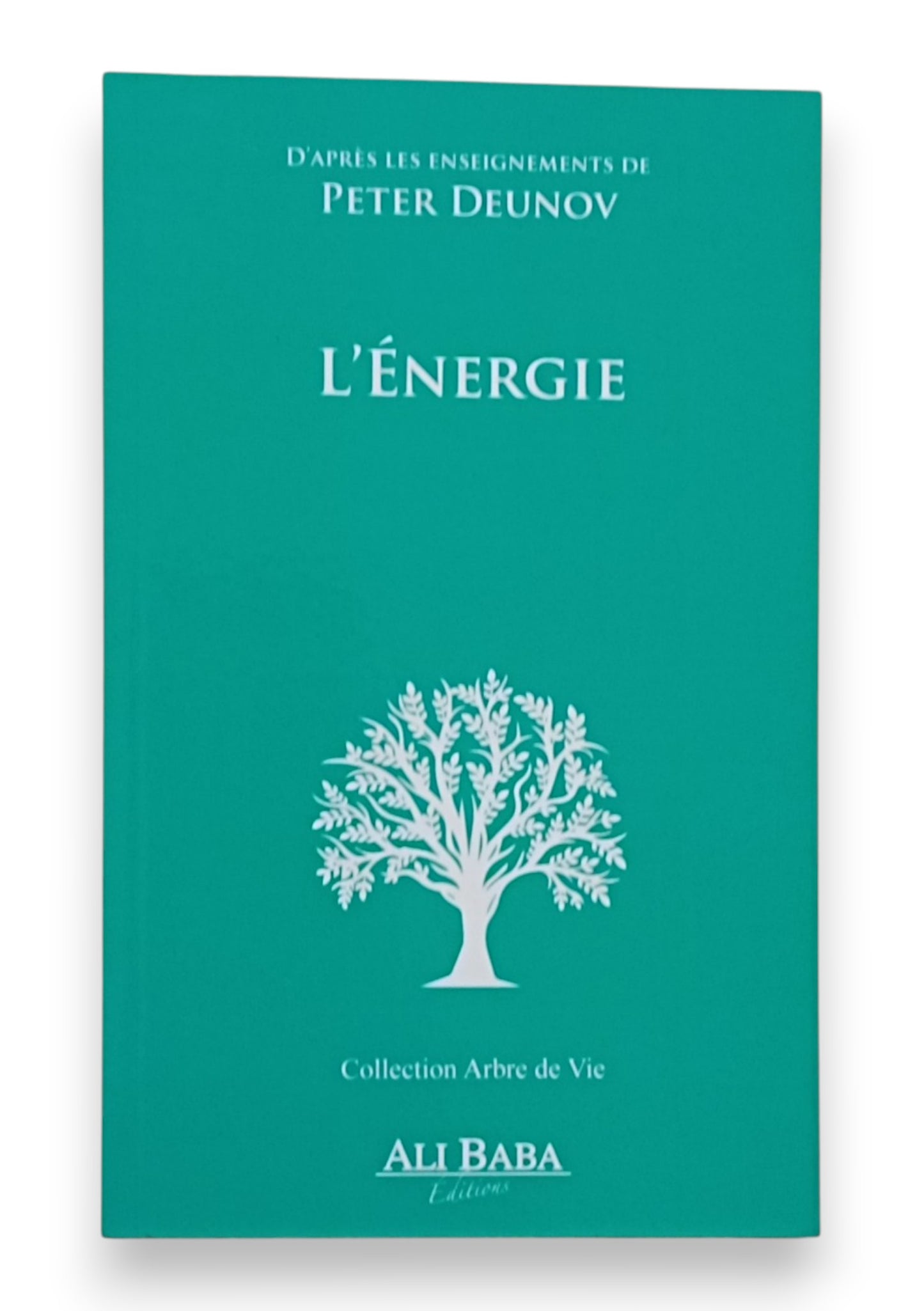 L'énergie