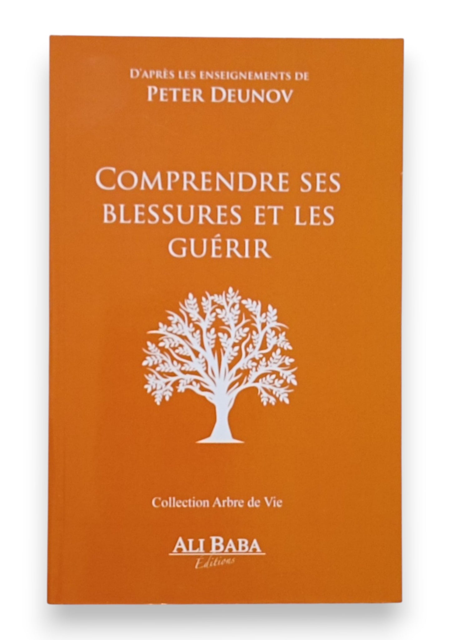 Comprendre ses Blessures et les Guérir