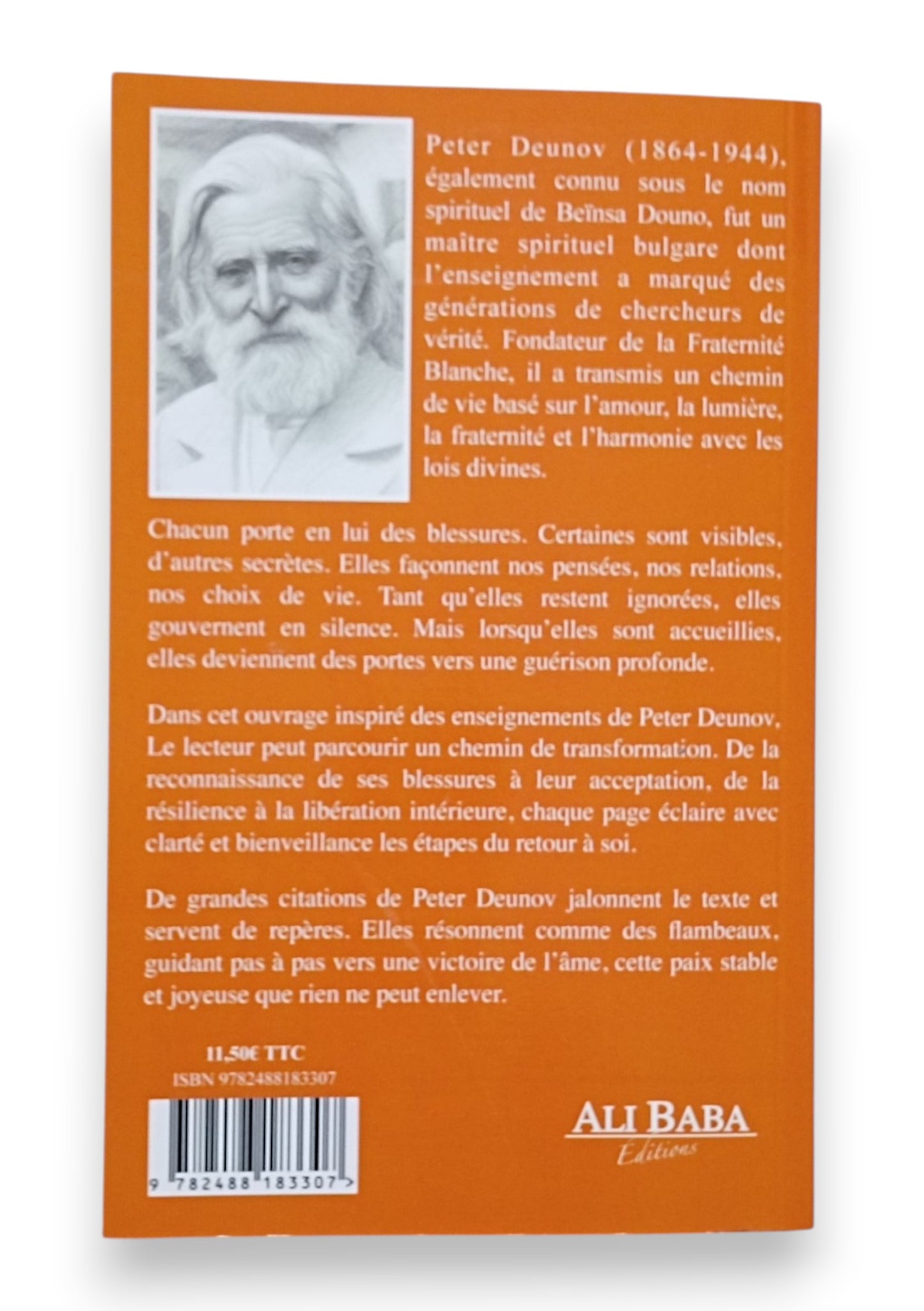 Comprendre ses Blessures et les Guérir
