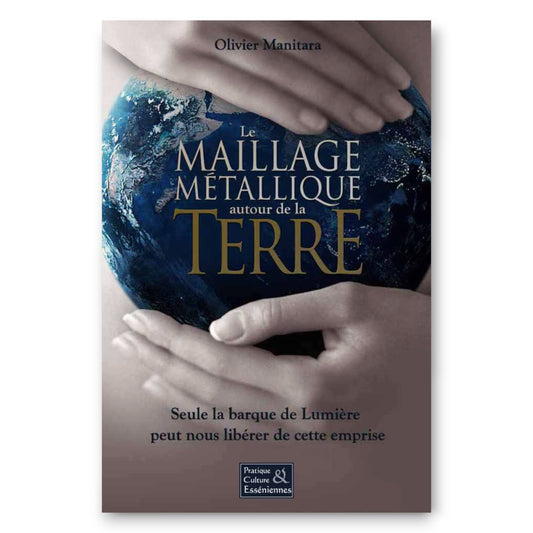 Le maillage métallique autour de la Terre