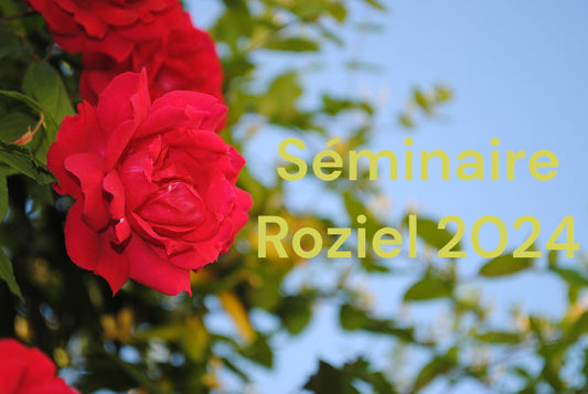 Séminaire Roziel 2024